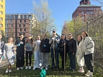 Студенты КГАСУ приняли активное участие в общероссийской добровольческой акции «Весенняя неделя добра»
